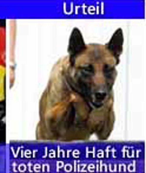 Haft für toten Polizeihund Kopie_Votc4Rzg_f.jpg